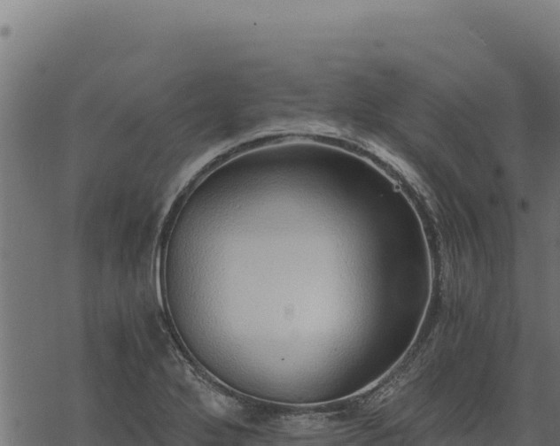 X0000068831272200605121332