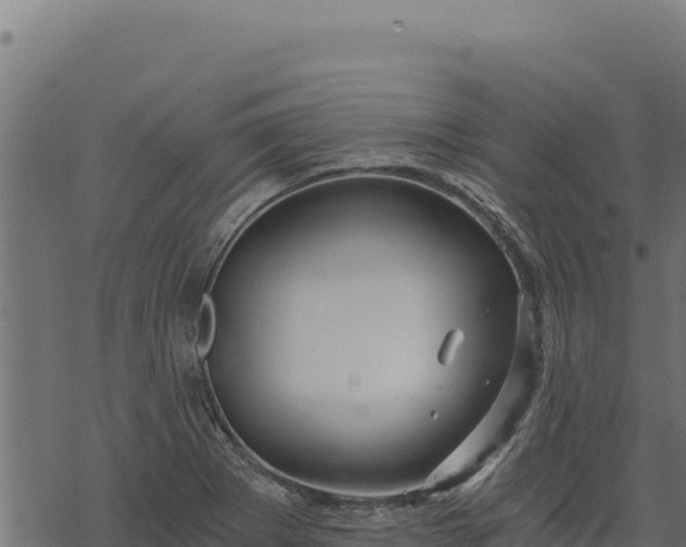 X0000068831273200605121332