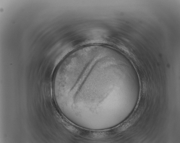 X0000068831274200605121332