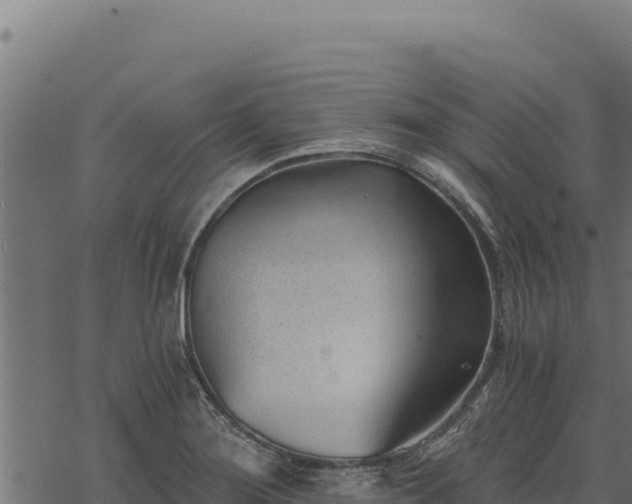 X0000068831276200605121332