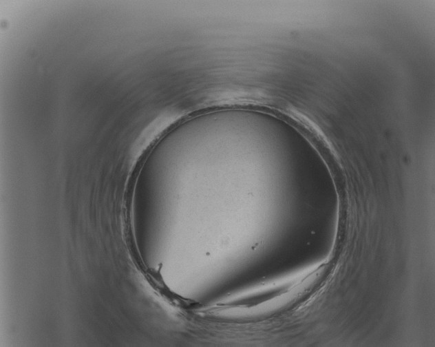 X0000068831277200605121332