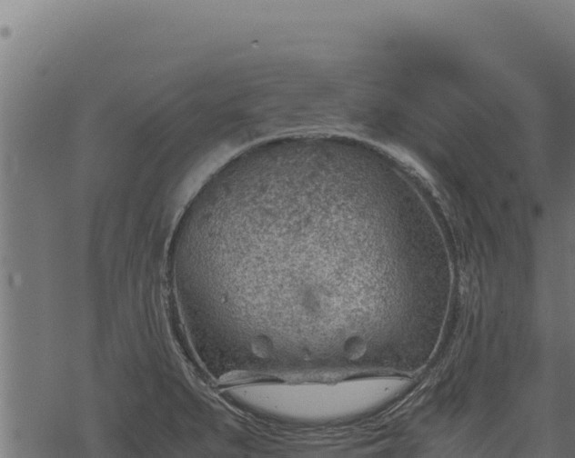 X0000068831279200605121332