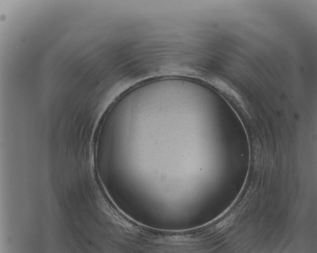 X0000068831280200605121332