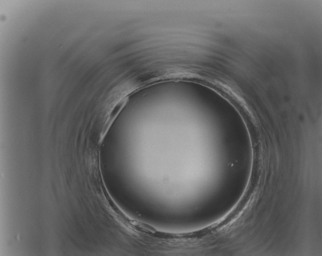 X0000068831281200605121332