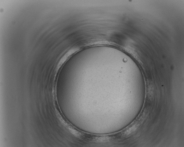 X0000068831282200605121332