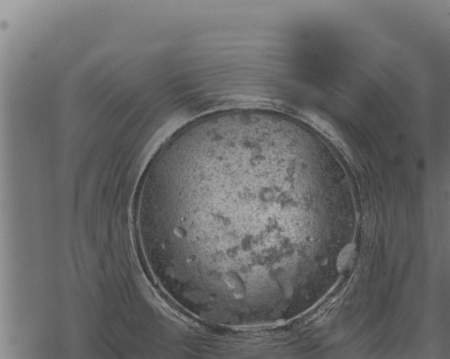 X0000068831283200605121332