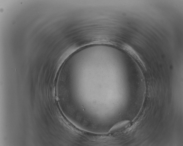 X0000068831284200605121332