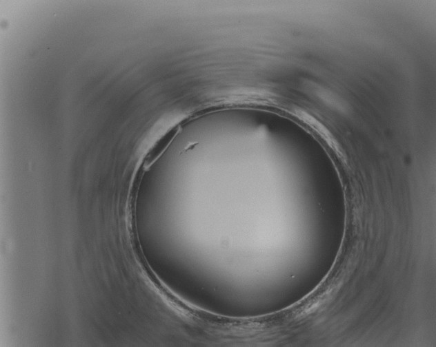 X0000068831285200605121332