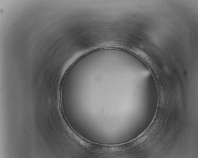 X0000068831286200605121332