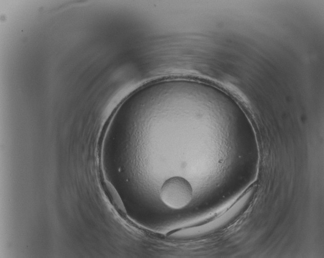 X0000068831287200605121332