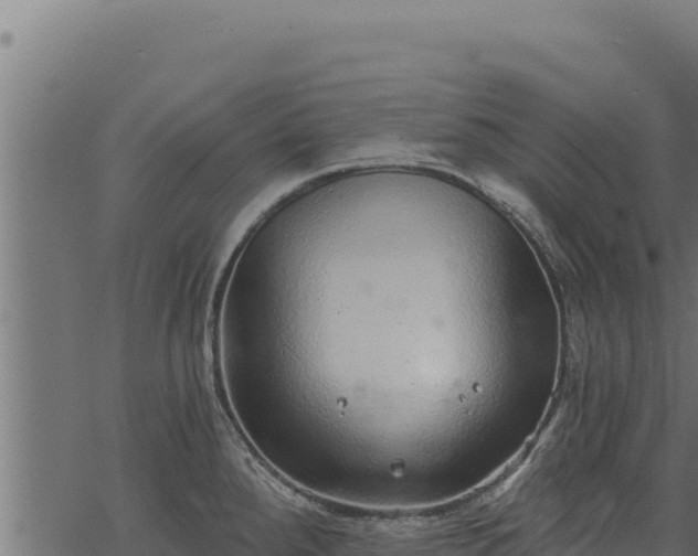 X0000068831288200605121332