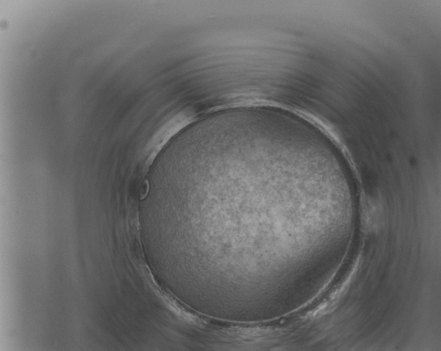 X0000068831289200605121332