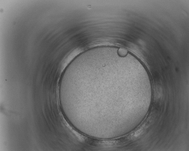 X0000068831290200605121332