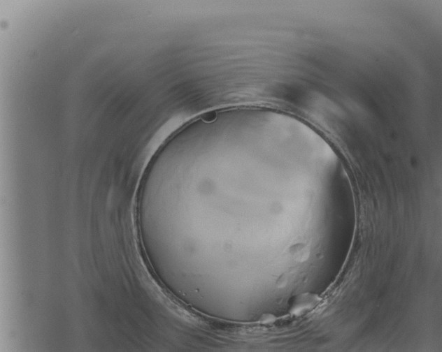 X0000068831291200605121332