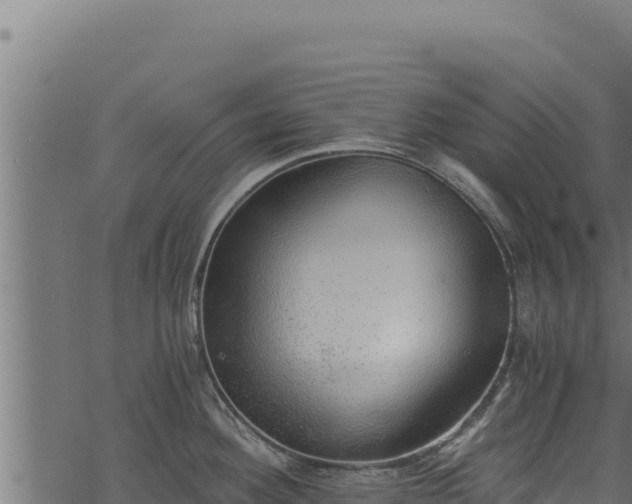 X0000068831292200605121332