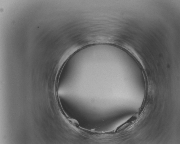 X0000068831293200605121332