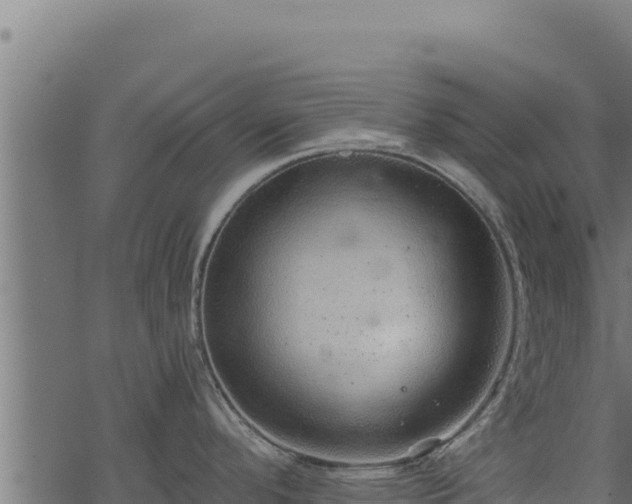 X0000068831296200605121331