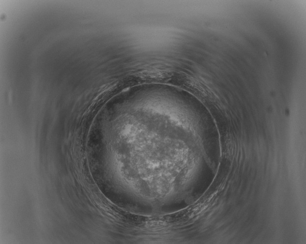 X0000068831297200605121331