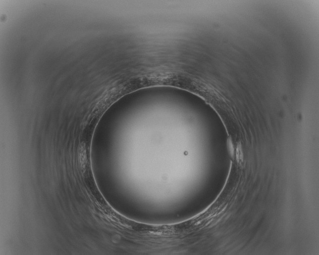 X0000068831299200605121331