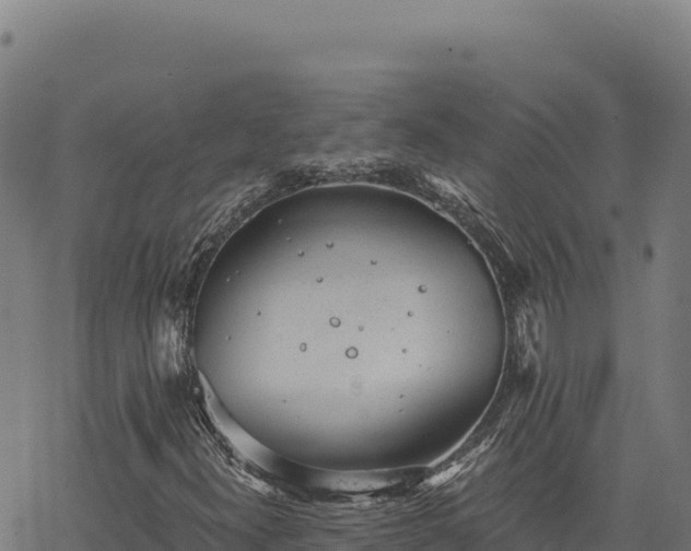 X0000068831300200605121331