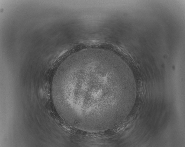 X0000068831301200605121331