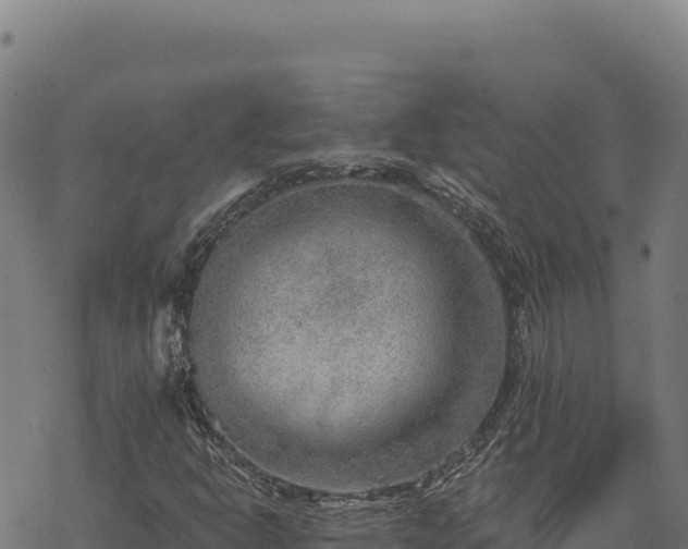 X0000068831302200605121331