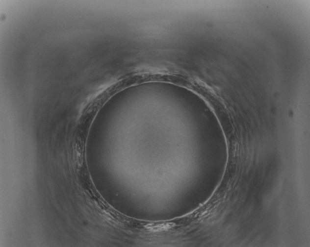 X0000068831303200605121331