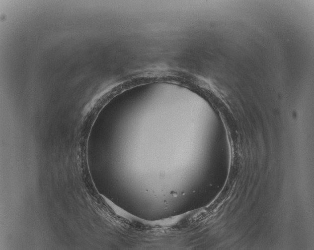 X0000068831304200605121331