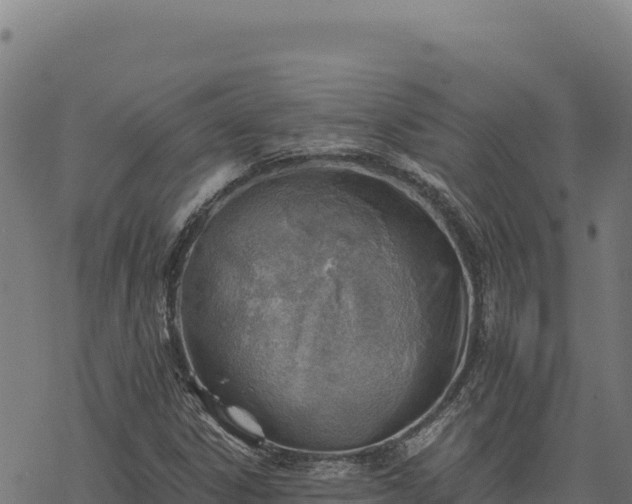 X0000068831306200605121331