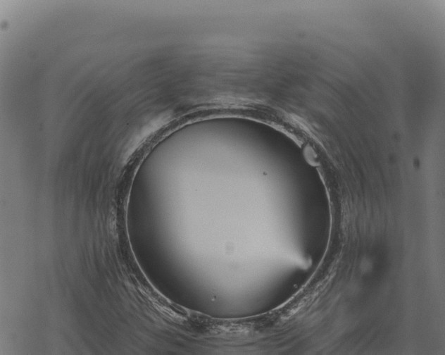 X0000068831307200605121331