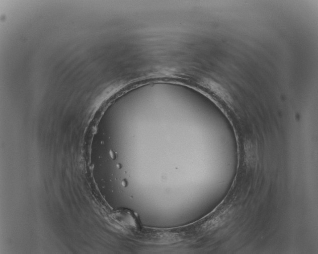 X0000068831308200605121331