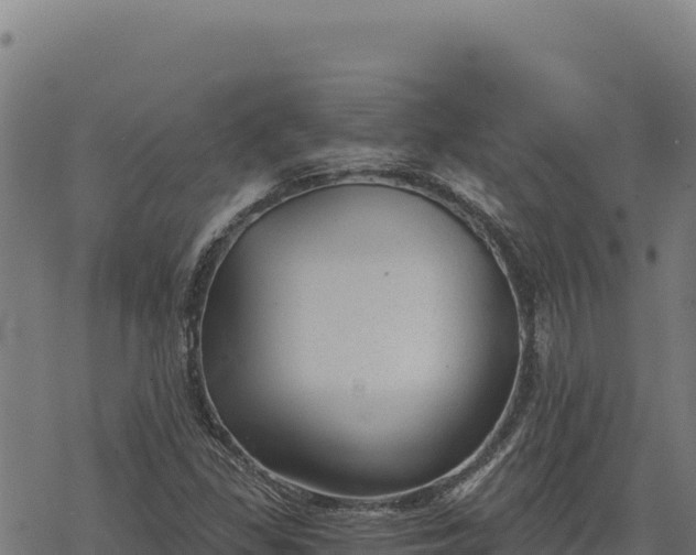 X0000068831309200605121331