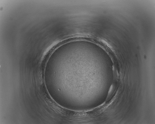 X0000068831310200605121331