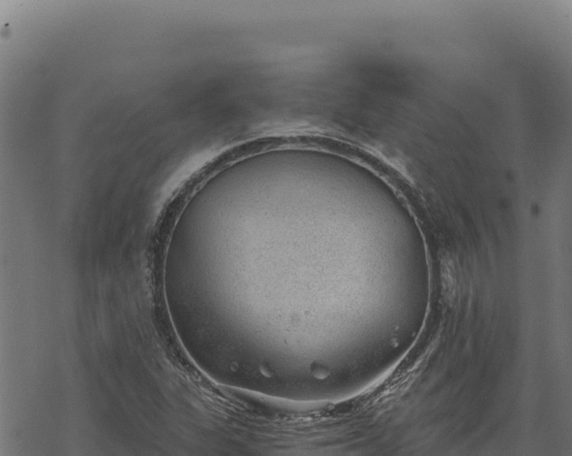 X0000068831311200605121331