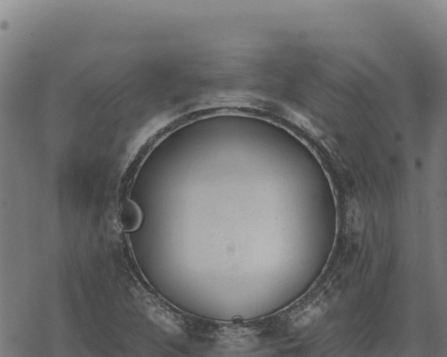 X0000068831312200605121331