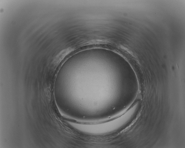 X0000068831313200605121331