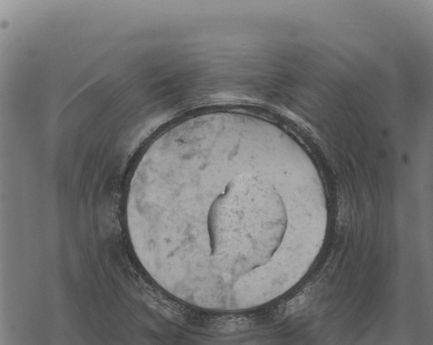 X0000068831314200605121331