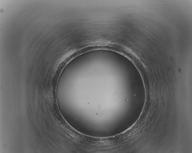 X0000068831315200605121331