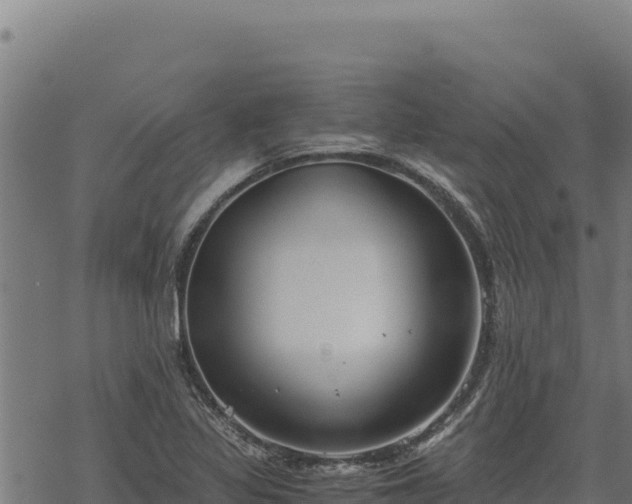 X0000068831317200605121331