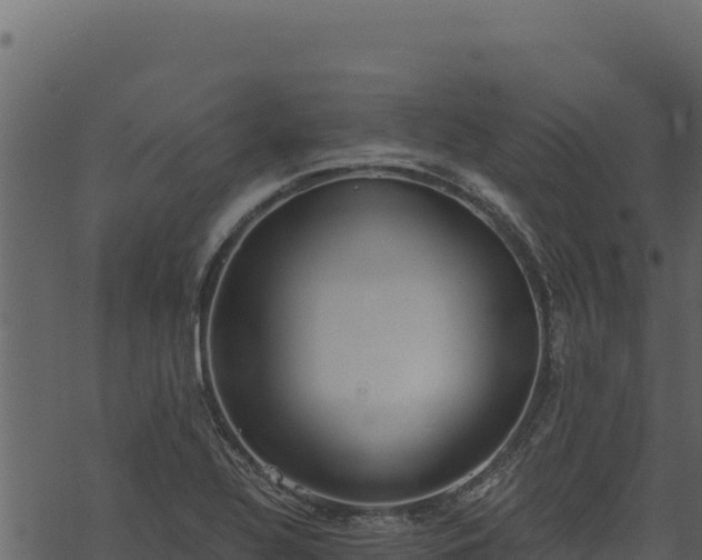 X0000068831320200605121331