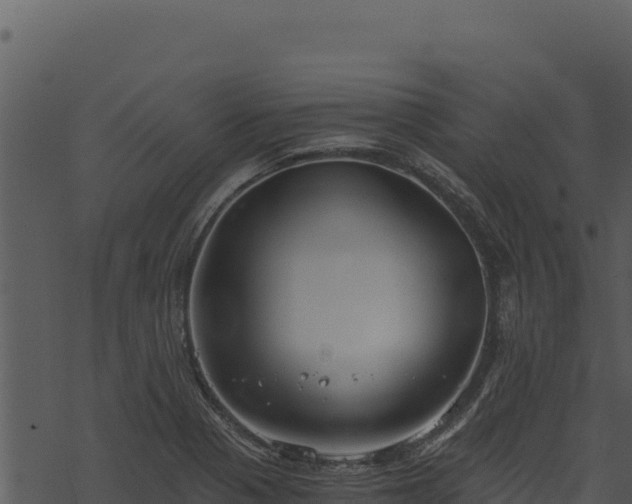 X0000068831321200605121331