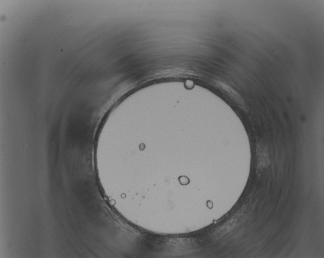 X0000068831322200605121331