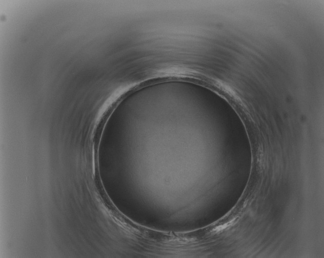 X0000068831323200605121331