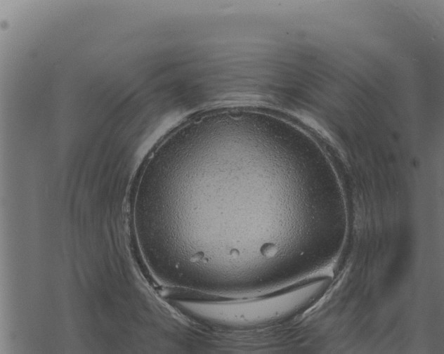 X0000068831325200605121331