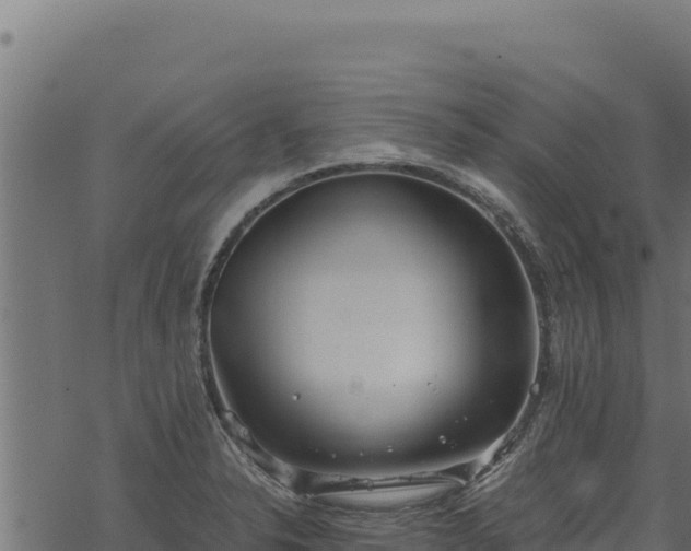 X0000068831326200605121331