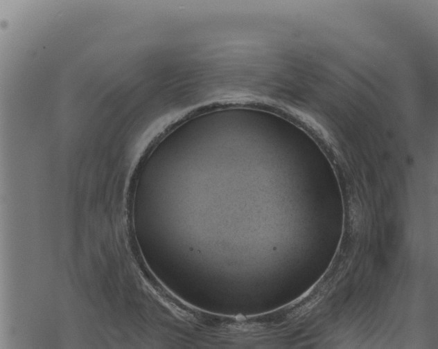 X0000068831327200605121331