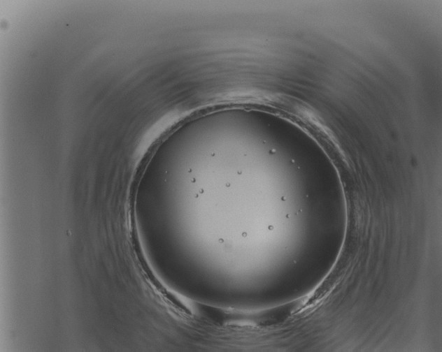 X0000068831328200605121331