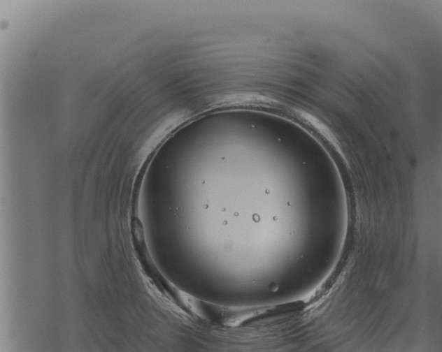 X0000068831330200605121331