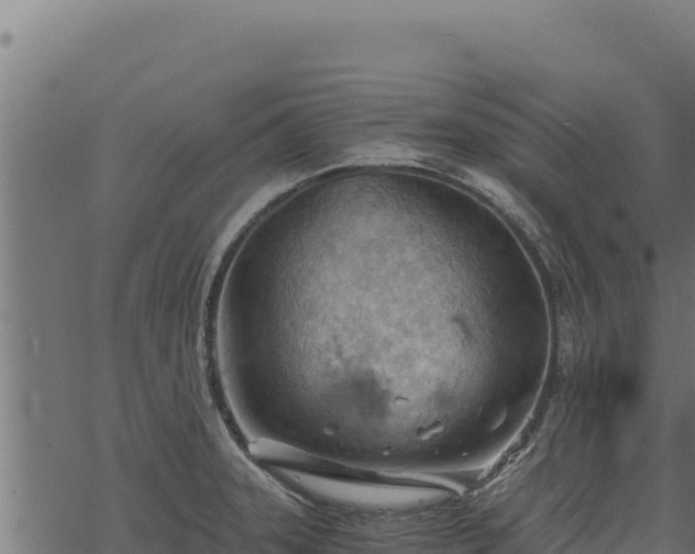 X0000068831331200605121331