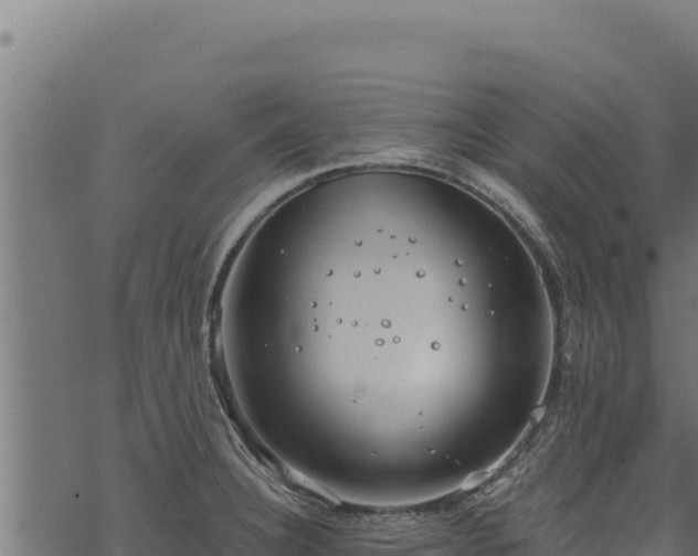 X0000068831332200605121331